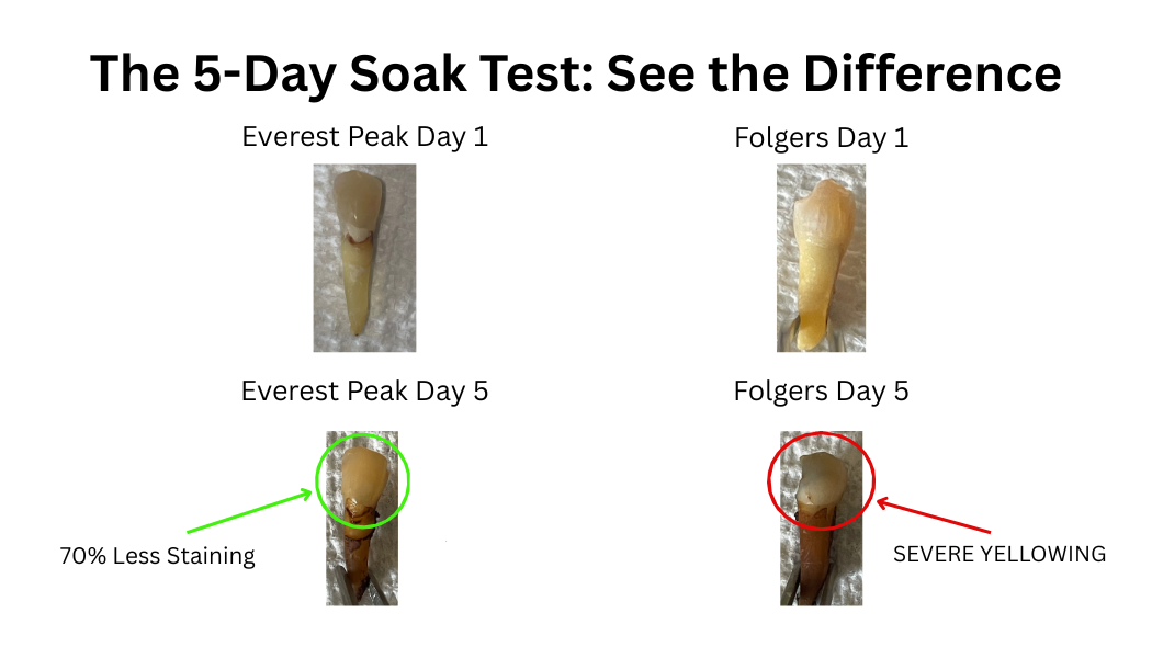 Everest Peak: The Low-Stain Coffee (8oz)