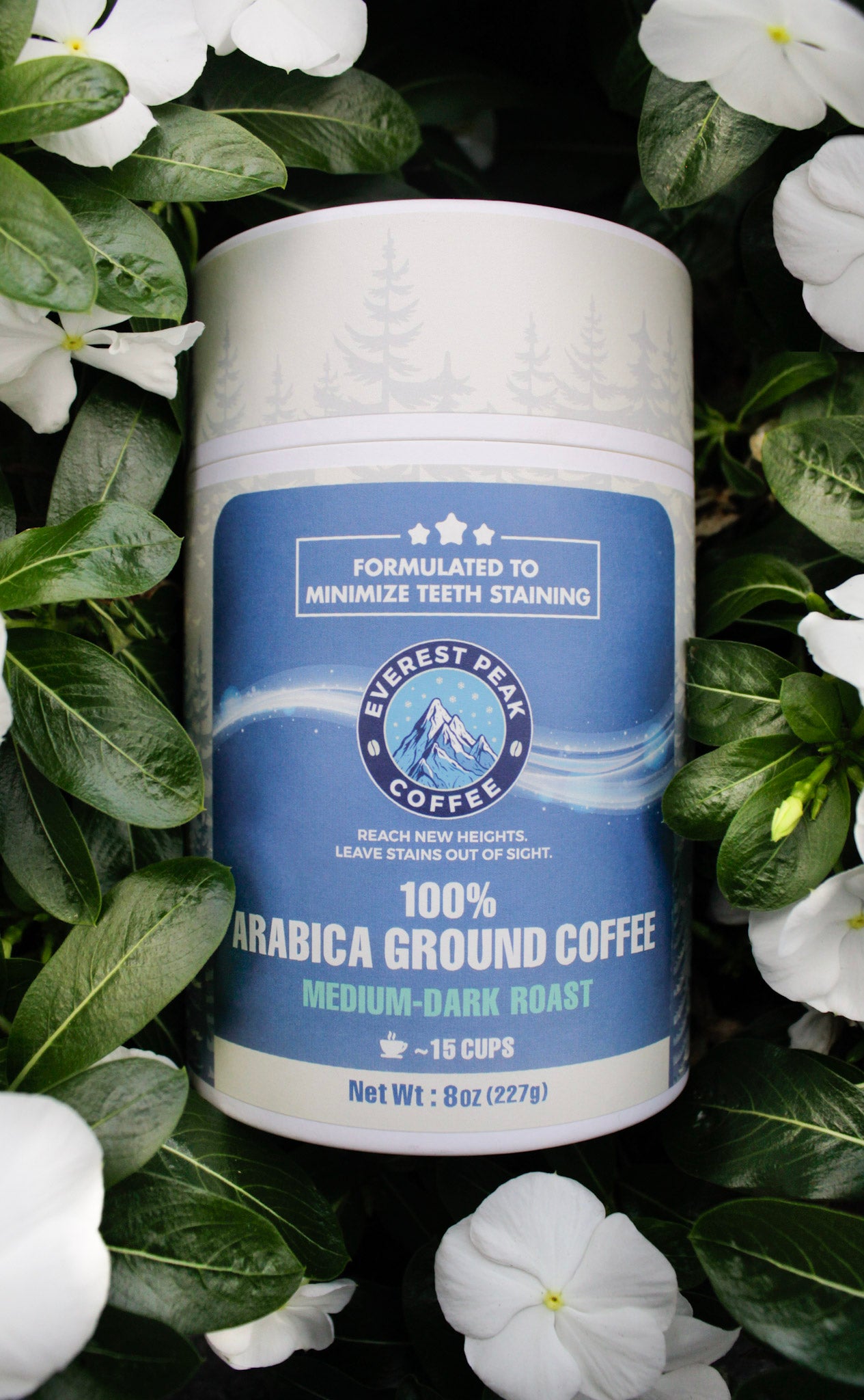 _MG_5971.jpg__PID:e3ec4cdd-dc9e-46a0-b98e-4925d67f1ddd