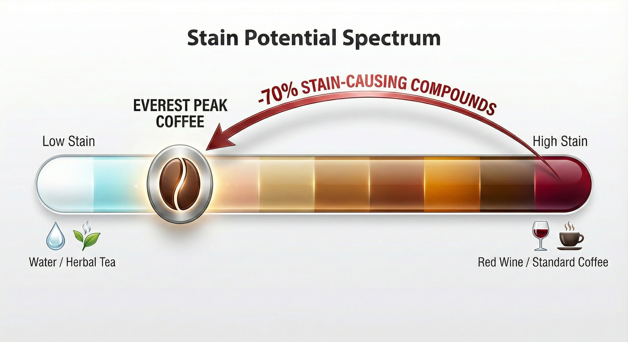 Untitled design (3).png__PID:7b8c41bd-7bb2-4982-94c6-b9d9b4e557c5